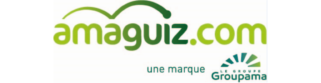 Logo-Amaguiz